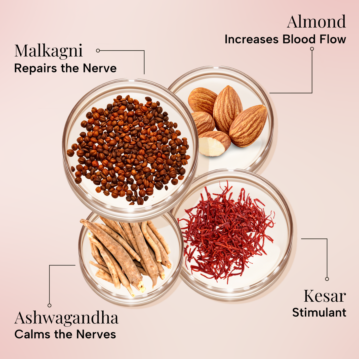 Ayurvediq Oil | For Stronger & Fuller size of Penile | Made from 17 Ayurvedic ingredients